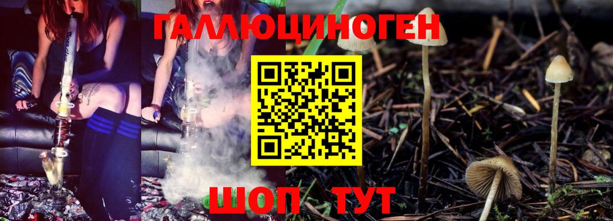 Галлюциногенные грибы MAGIC MUSHROOMS  Вход с VPN  Рославль 