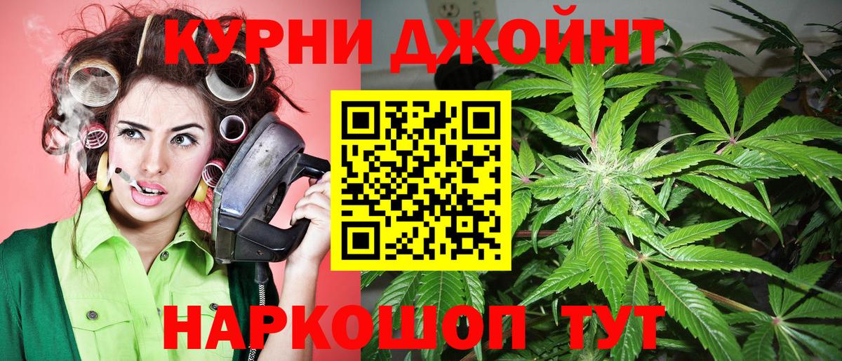 Конопля OG Kush Рославль